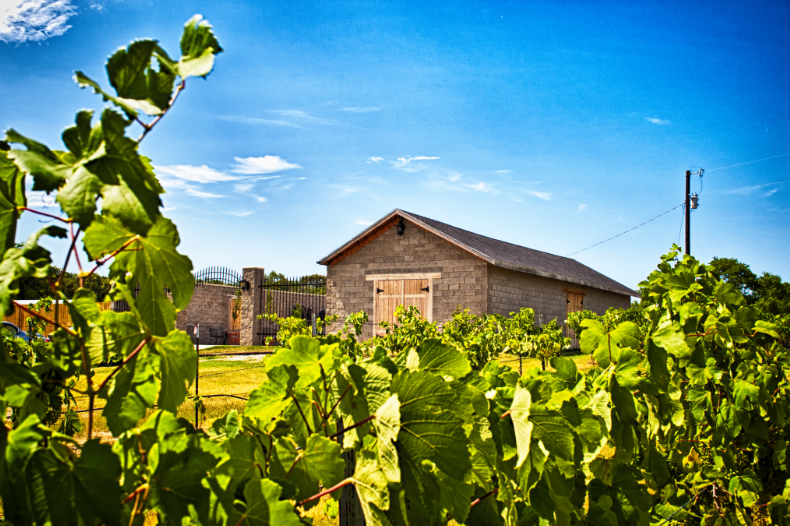 Castle Oaks Winery